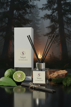 The Hidden Grove — Dark Moody with Box